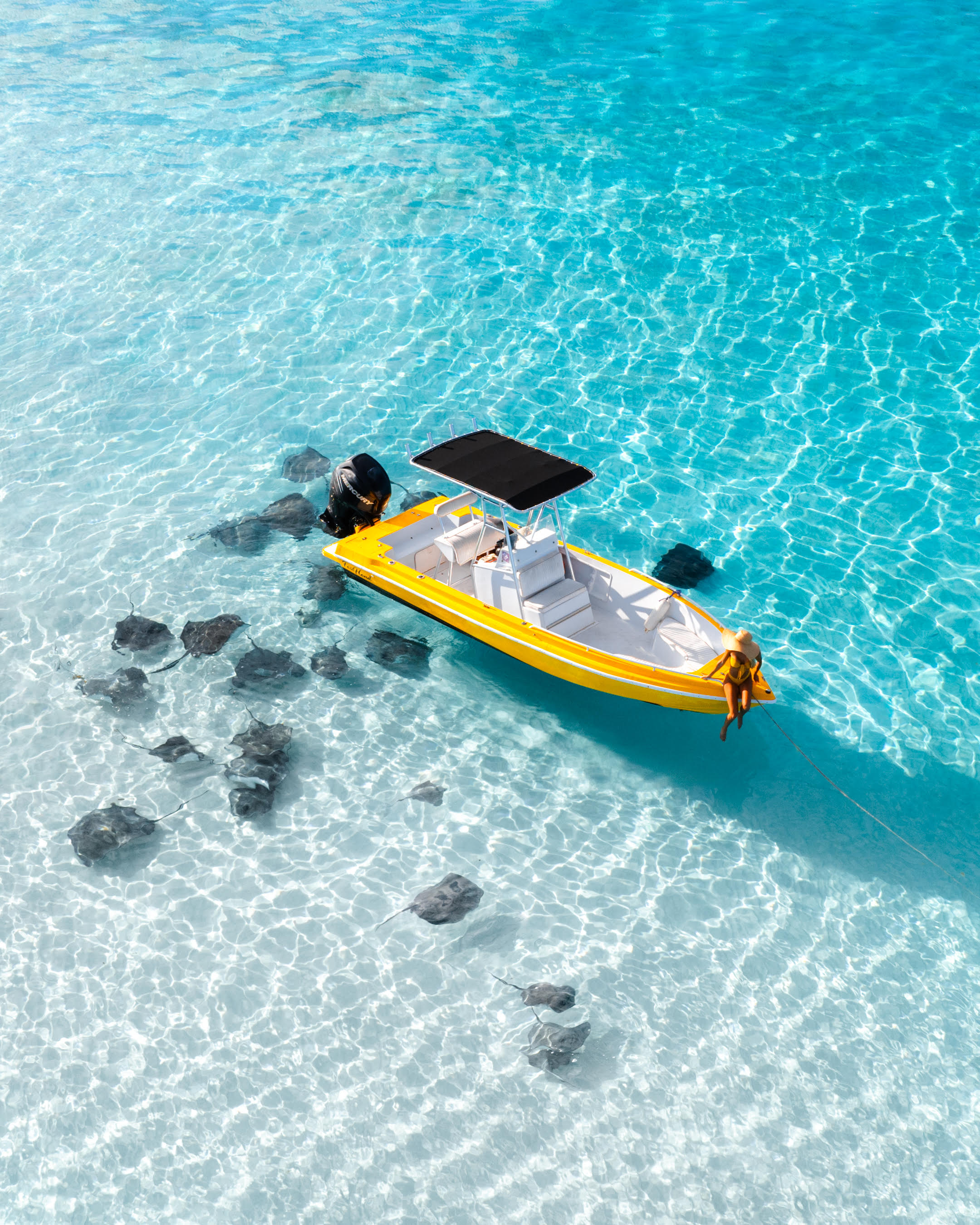 Snorkeling + Starfish Point